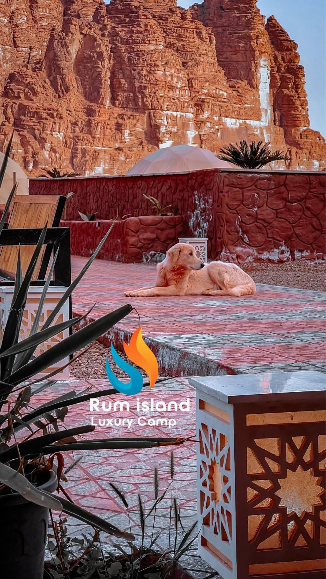 Island Luxury Camp & Bubbles Glamping Wadi Rum